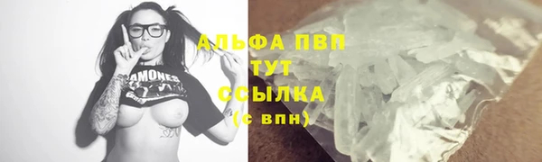 тгк Алексин