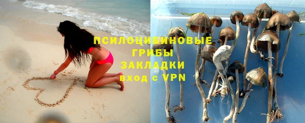 apvp Абдулино