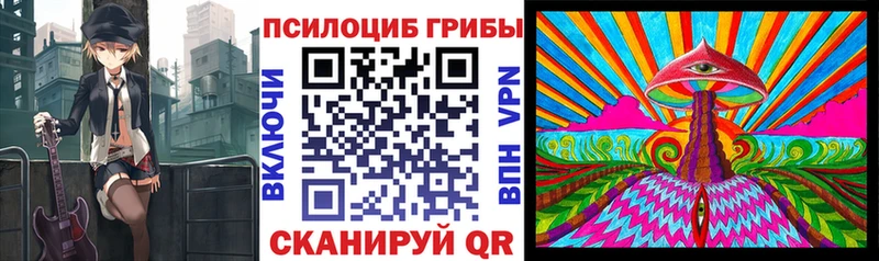 Галлюциногенные грибы Psilocybine cubensis  Миллерово 