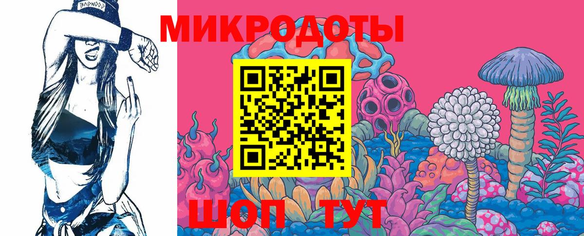 Псилоцибиновые грибы мицелий Миллерово